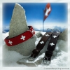 Swiss Kollektion: Halsband