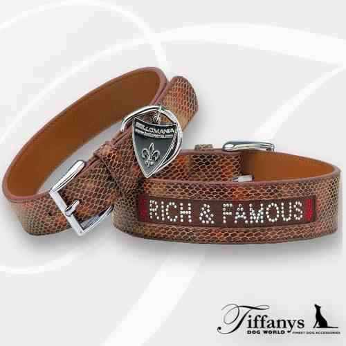 New York Rich & Famous