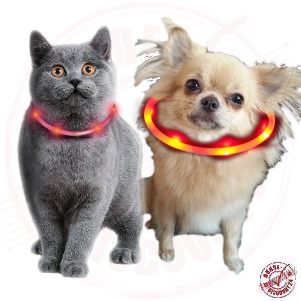 LED Halsband - Leuchtschlauch, für Katzen und kleine Hunde