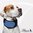 Kühlhalsband für Hunde - Aqua Coolkeeper Cooling Collar